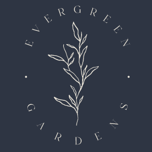 BrowswerLogo2